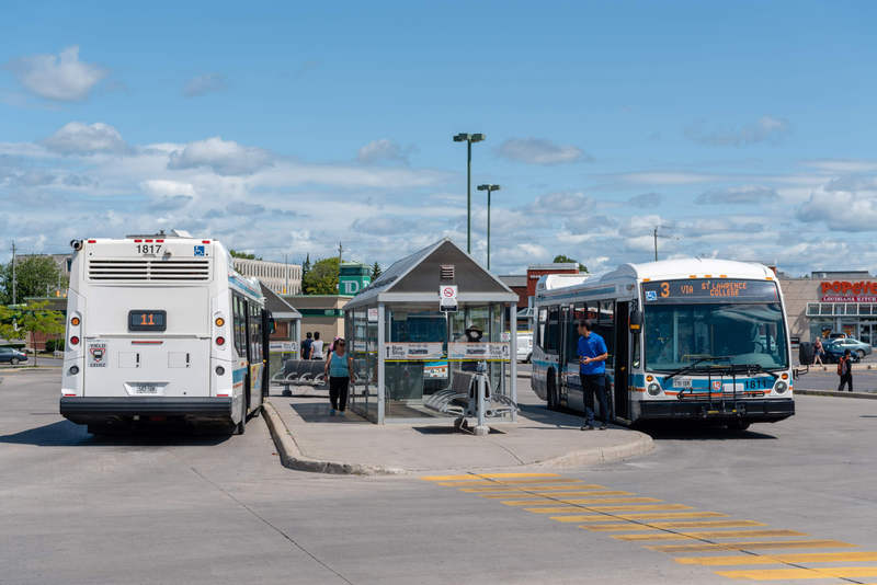 Illustration for article titled Pics from the Curbside: 2019-08-10